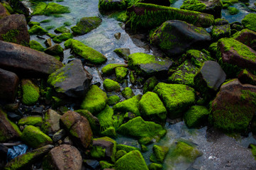Stones with green moss