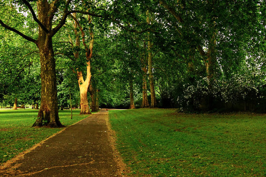 Sendero en el Parque Battersea de Londres, Inglaterra, Reino Unido
