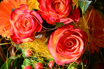 three pink roses with gerberathree closeup