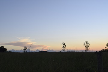 Fototapeta na wymiar Silhueta de horizonte rural no pôr-do-sol