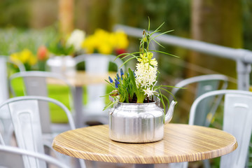 Stylish outdoor cafe at spring time