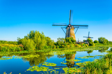 Kinderdijk windmills viewed during sunny summer day, Rotterdam, Netherlands