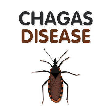 Chagas Disease, caused by parasite Trypanosoma cruzi carried by Kissing bugs that bite and suck blood from their victims face, insects are brown to black, some have red, yellow, tan markings.