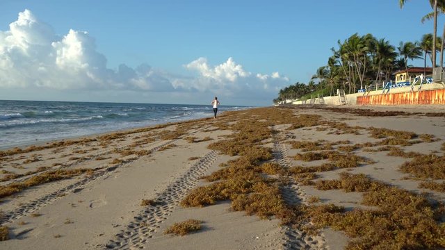 La muchacha est&aacute; caminando por la playa en la ma&ntilde;ana esquivando el sargazo.