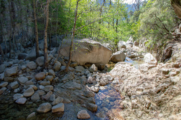 Trekking in Purcaraccia canyon in Corsica, France.