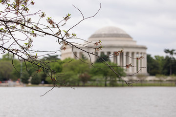 Jefferson Memorial view from the Potomac