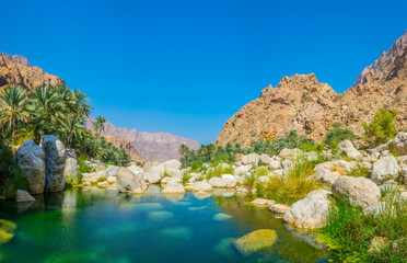 Lagoon with turqoise water in Wadi Tiwi in Oman. - obrazy, fototapety, plakaty