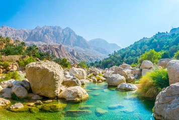 Foto op Plexiglas Lagune met turkoois water in Wadi Tiwi in Oman. © dudlajzov