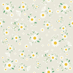 Seamless daisy floral pattern, Beautiful daisy floral, bloomy plant grass decor, illustration - Vector