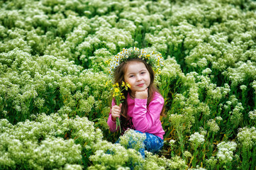 Portrait of a beautiful little girl in a wreath of wild flowers . Children on a walk