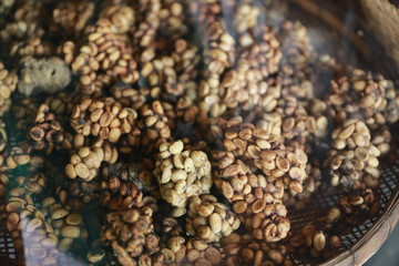 Kopi luwak or civet coffee, is coffee that includes partially digested coffee cherries, eaten and defecated by the Asian palm civet