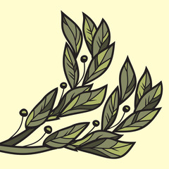 Vector illustration of Laurel branch. Two green branches on a mustard background. The divine plant is a symbol of victory and power.