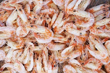 close up Small dried shrimp for cooking