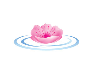 Pink Cherry Blossom Floating On a Water Logo In Isolated White Background