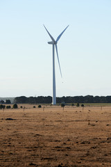 A single wind turbine in the Australian countryside.