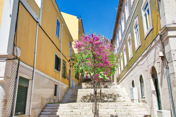 Colorful buildings of Lisbon historic center