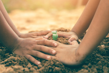 The hands of children are collaborating to grow forests back to nature, Wild plant concept.