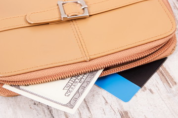 Currencies dollar and credit card with leather wallet. Choice between cashless or cash payment