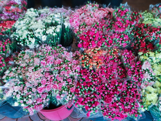 Selective focus beautiful bouquet of colorful Carnation flower.Blurred pink flower background.