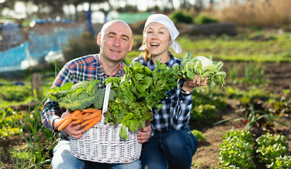 Joyful couple with a basket of vegetables in the garden