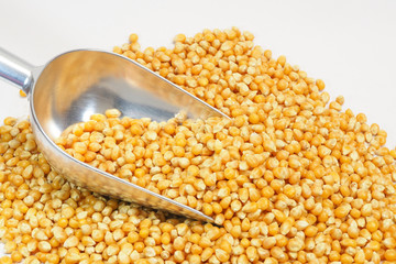 corn in spoon