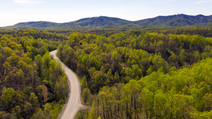Fototapeta na wymiar The Blue Ridge Parkway Cuts Through Dense Mountain Forest
