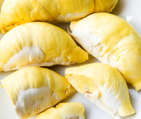 Close up durian flesh yellow gold Bright yellow tropical fruit. durian fruit in season tropics