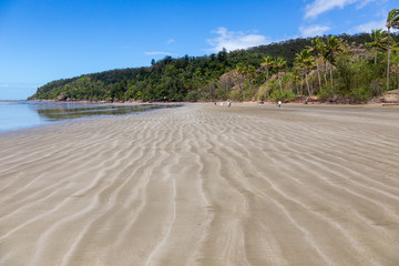Beautiful Cape Hillsborough