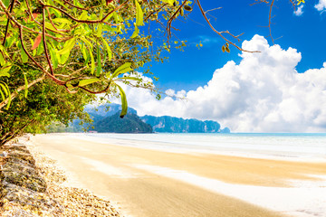 Beauty beach with yellow sand and crystal clear water in Krabi Thailand