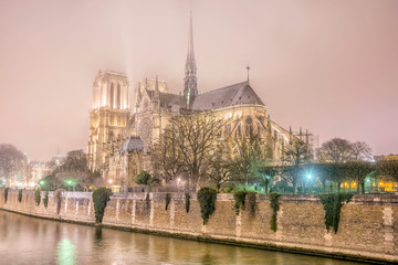 Fototapeta na wymiar Notre Dame de Paris Cathedral at night, Paris, France