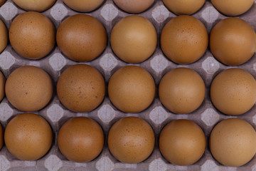 overhead shot of bucket with eggs