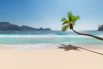 Beautiful Sunny beach with coco palm and a sailing boats in the turquoise sea on Caribbean island.Seychelles.