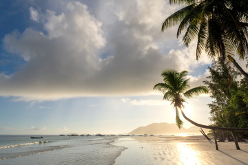 Obraz na płótnie Canvas Tropical island at sunrise in raining time with coco palms in the beach, Praslin island, Seychelles. 