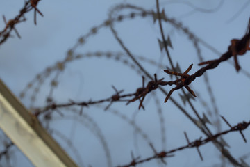 wire mesh steel with green grass background in Phuket Thailand