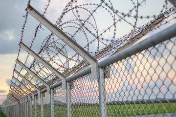 wire mesh steel with green grass background in Phuket Thailand