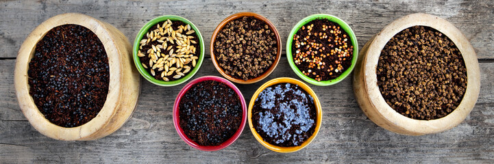 various bowls with watered microgreens like radish or barley in it
