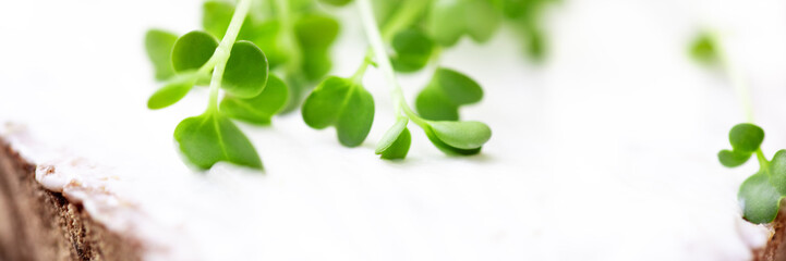 healthy sandwich or bread with microgreens like garlic seedlings or sprouts on it