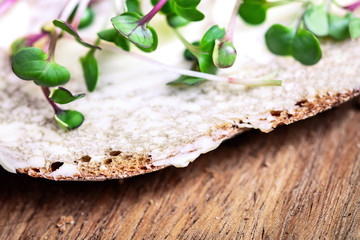 sandwich or bread with microgreens like radish seedlings or sprouts on it