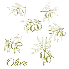 seamless pattern olives, sketch, hand-drawn olive fruits and branches - 267898112