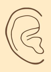 人の耳のアップ