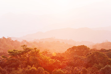 Warm tone of tropical forest canopy and mountain range backgrounds. Summer scenery nature at sunrise, bright morning light with lens flare. Doi Inthanon, Thailand.