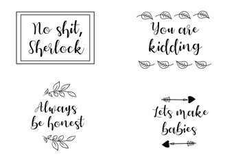 No shit, Sherlock, You are kidding, Always be honest, Lets make babies. Calligraphy saying for print. Vector Quote 