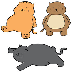 vector set of fat cat