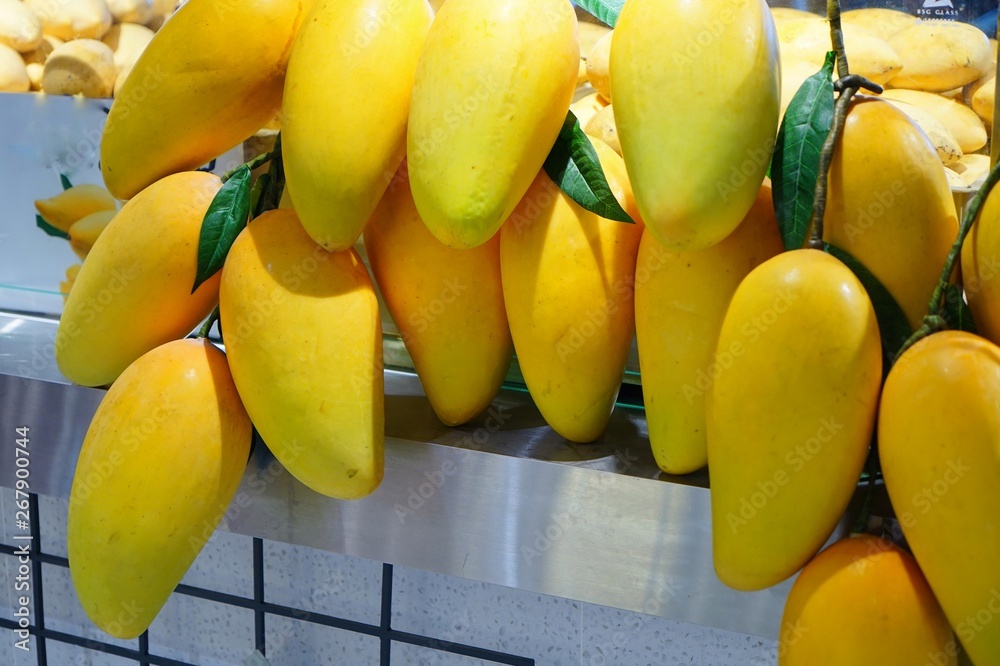 Poster bunch of yellow bananas