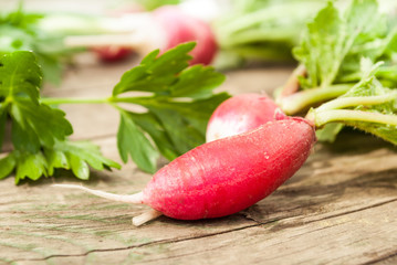 Ripe radish and parsley on a wooden background