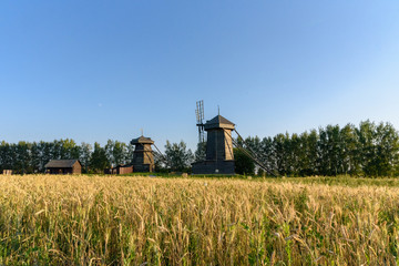 Fototapeta premium Rural landscape - windmills in the field. Russia