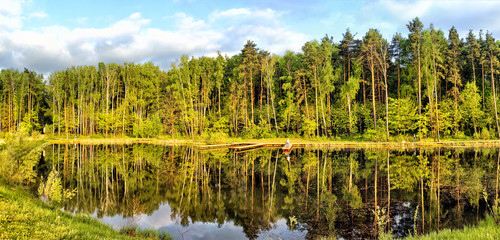 green forest and pond at city park on summer sunset light panorama landscape view of trees reflection on water of lake with people enjoying outdoor activity as fishing on beautiful nature background