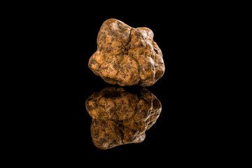 White truffle (tuber magnatum) on black.