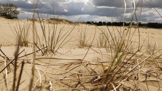 Erosion Due To Overgrazing With Desertification As Result