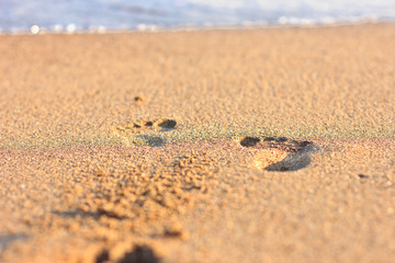 Fototapeta na wymiar Footprints in the sand towards the sea
